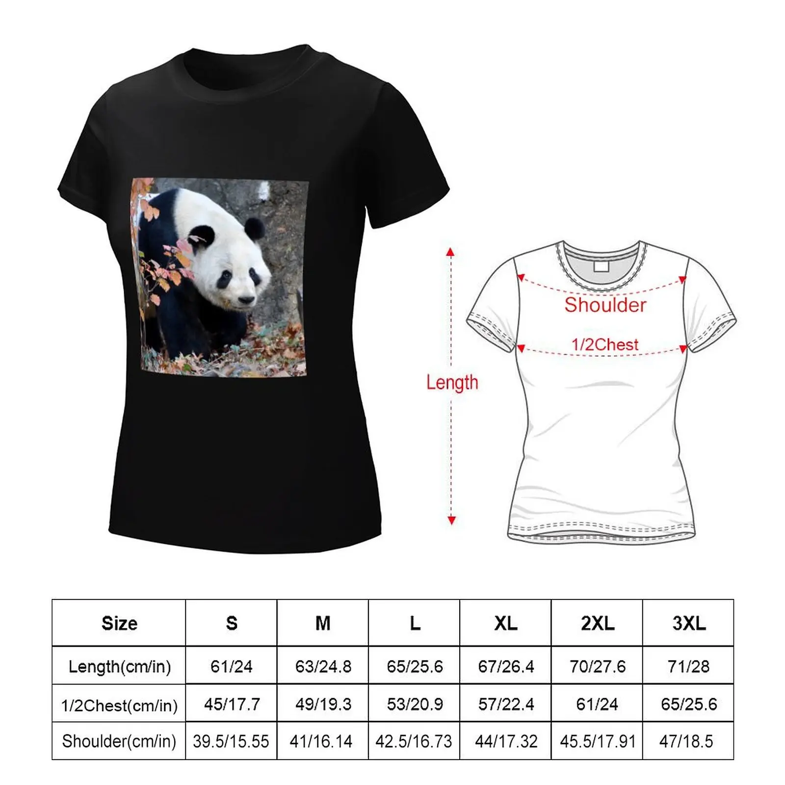 Giant Panda Tian Tian at the National Zoo T-Shirt Aesthetic clothing female vintage clothes sublime tshirts for Women