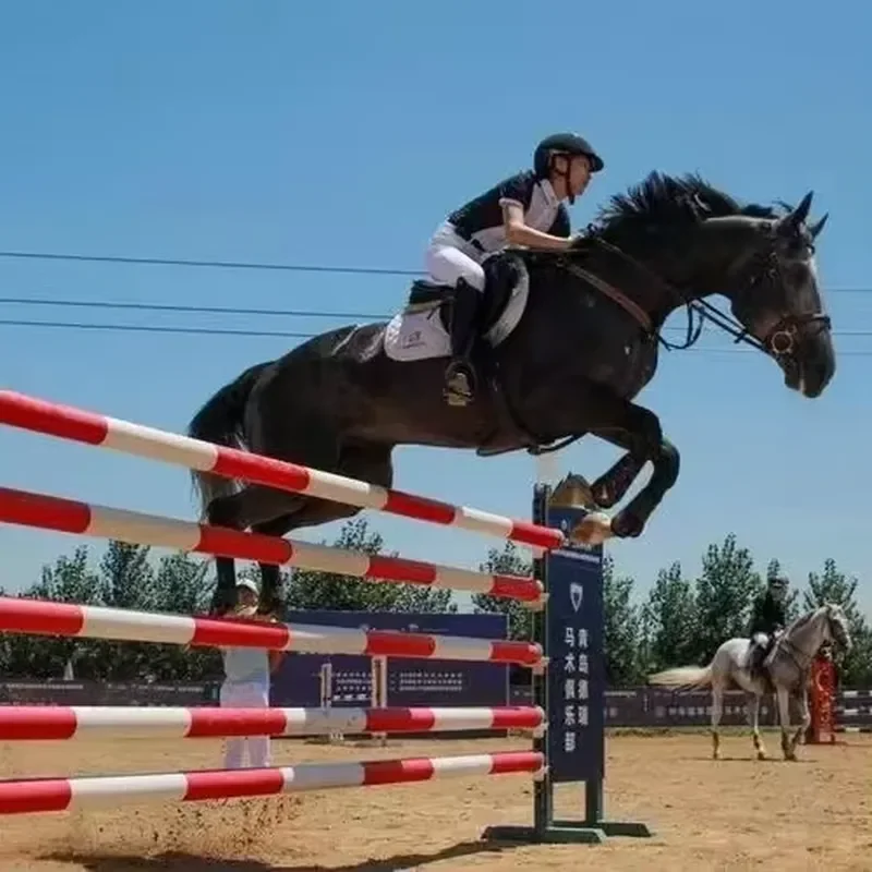 Horse Show Jumps Equestrian Hurdle Equestrian Competition Obstacles Horse Jumping Obstacle