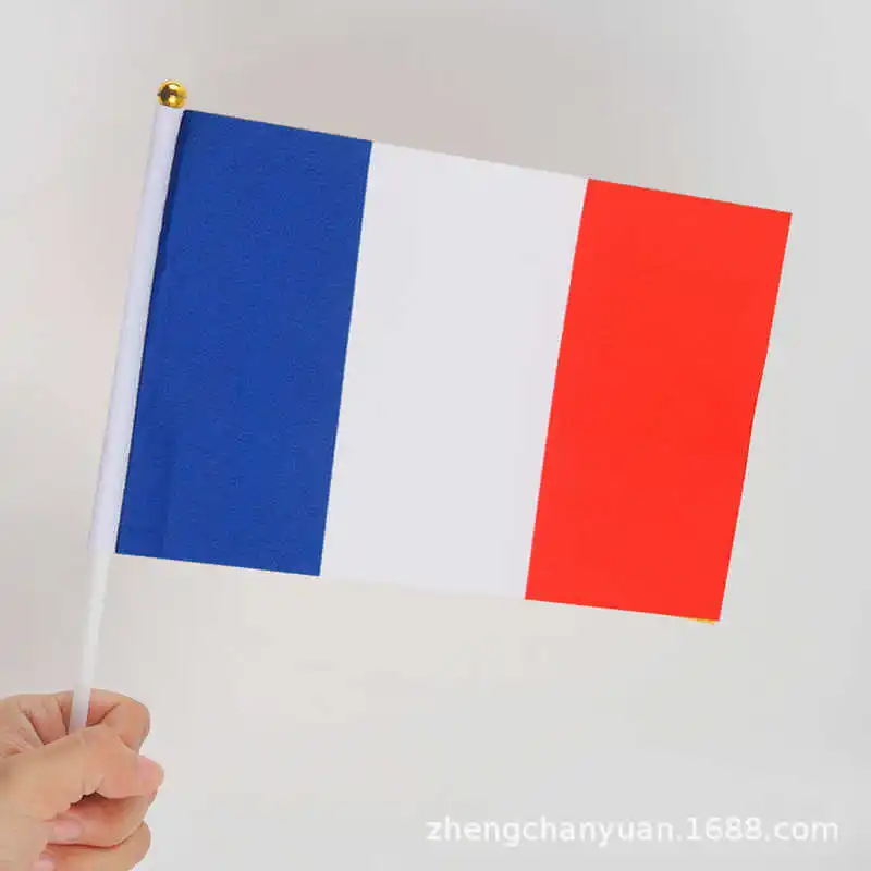 10 Pack French Flag…