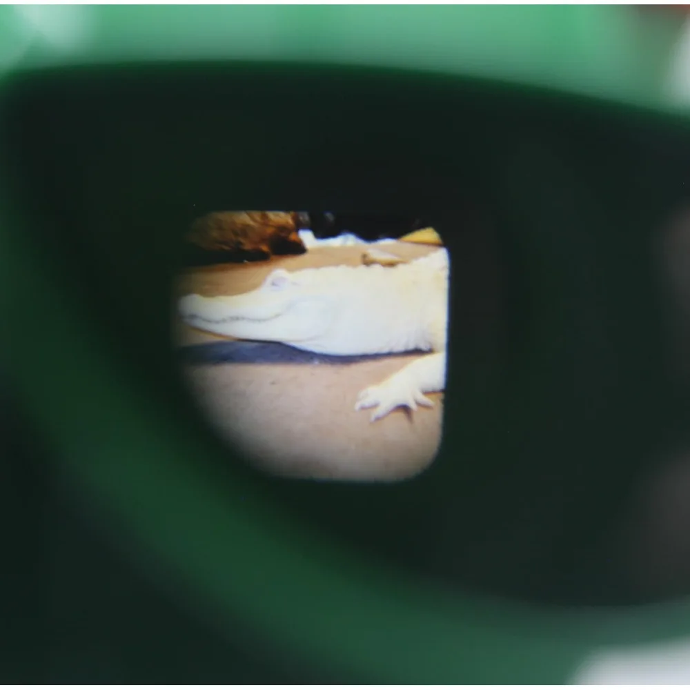 High Quality Luminous 3D View-Master Mini Theater Cognitive Puzzle Viewing Machine 3D Observation Deck Children's Gift