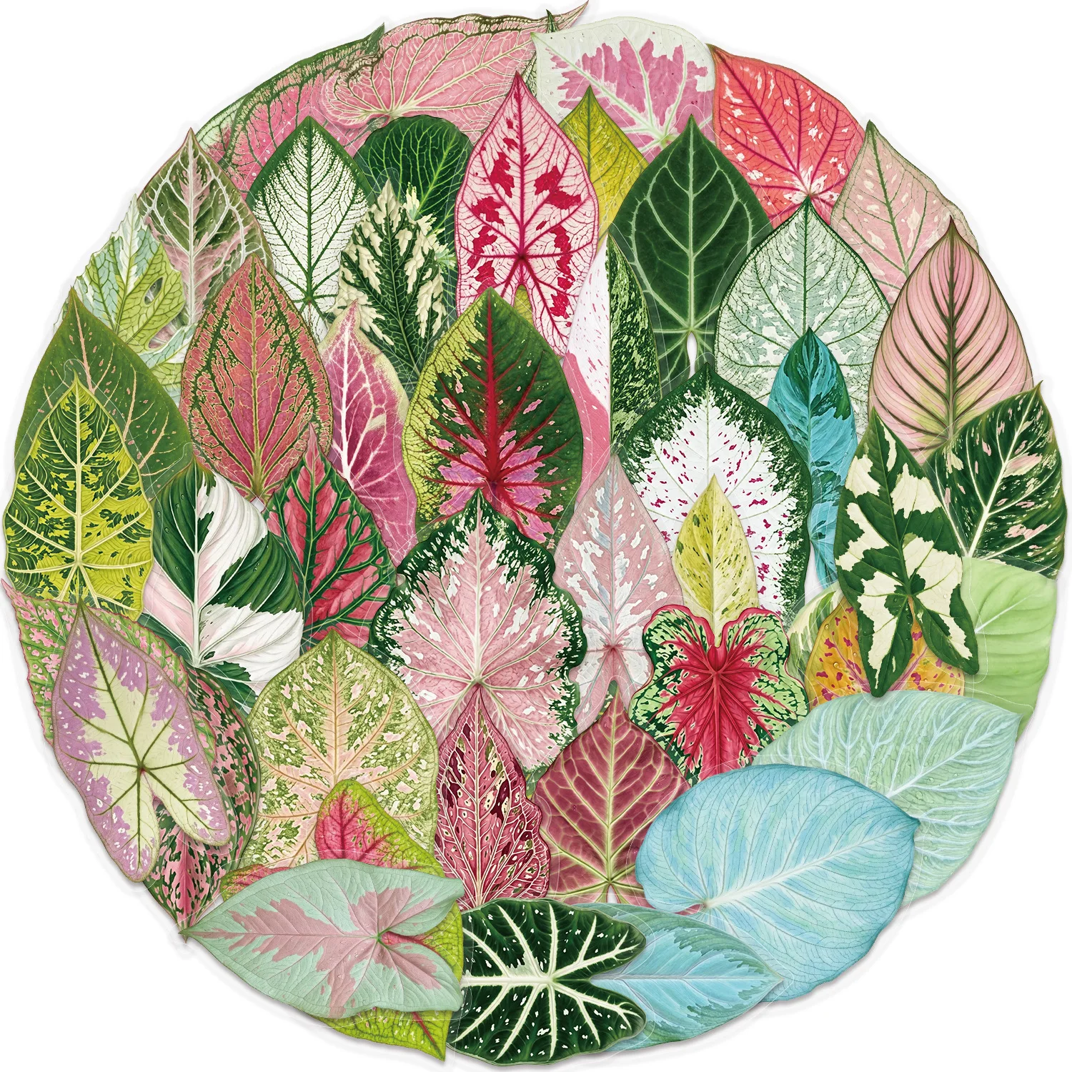 50PCS Artificial Plants Transparency Graffiti Stickers Decoration Luggage Phone Guitar Scrapbook Waterproof Stickers Kid Toys
