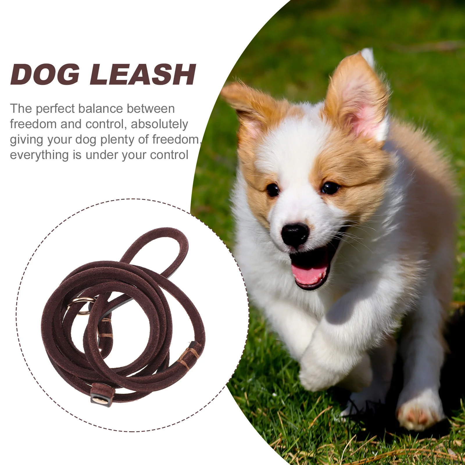 

1Pcs Pet Leash Premium Dog Pulling Rope for Small Medium Dogs Walking Jogging Running Camping Hiking Outdoor