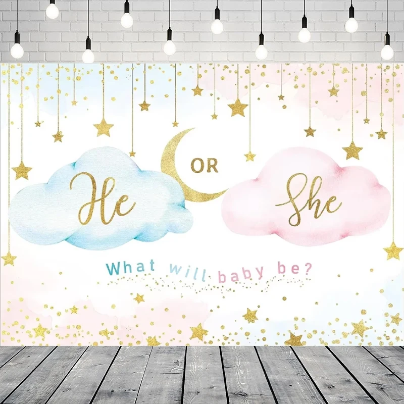 Photography Backdrop Pink Cloud What Will Baby Be Background Gold Stars Moon Banner He Or She Gender Reveal Party Interior Decor