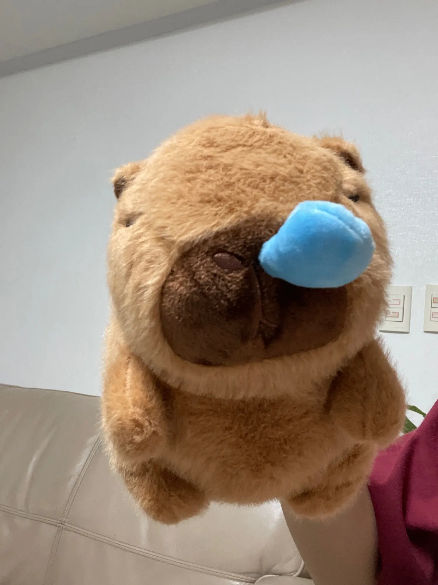 구매후기
