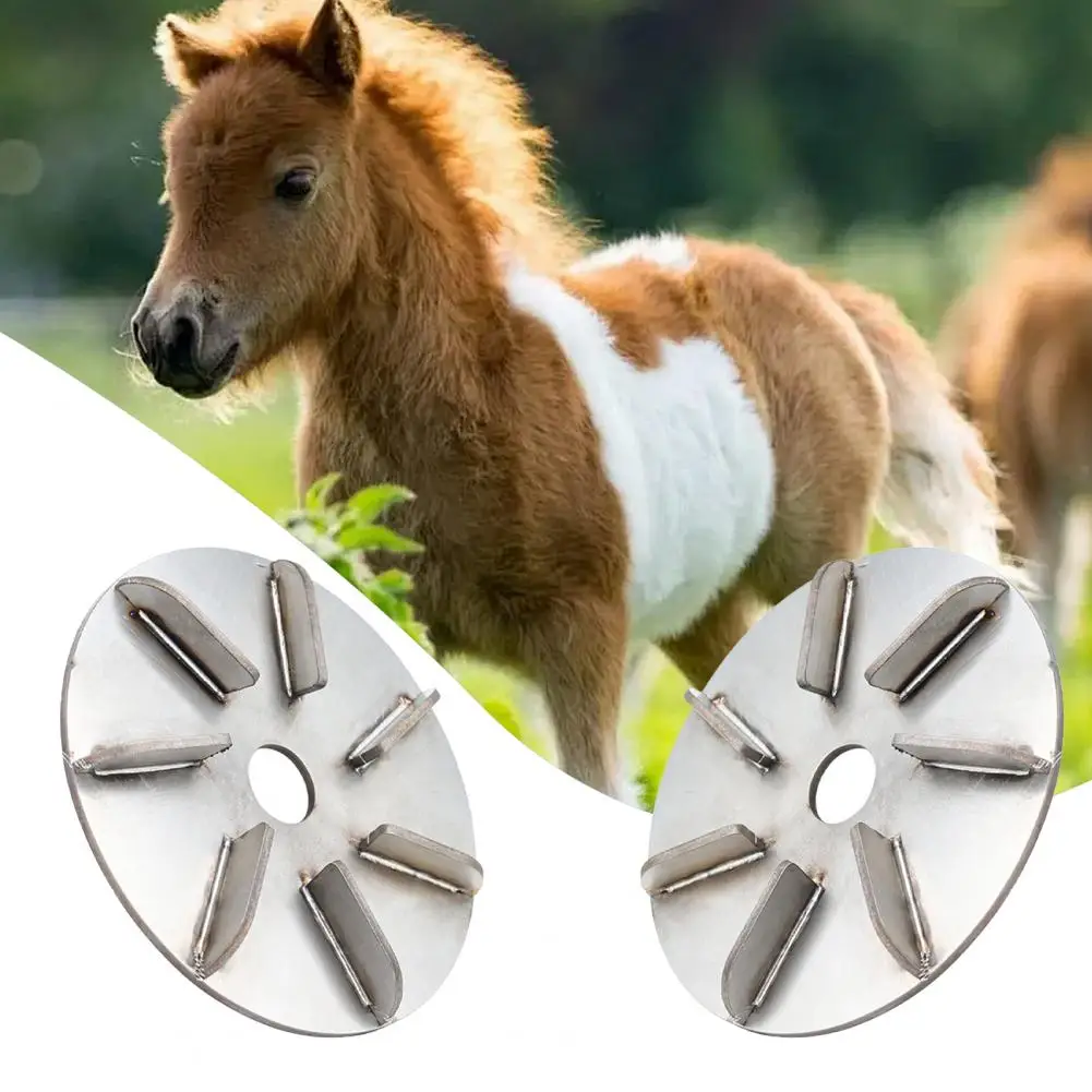 Pig Hair Scraper Long-lasting Lint Removal Disc Stainless Steel Farm Hair Scrapers for Pigs Cattle for Roosters for Slaughter