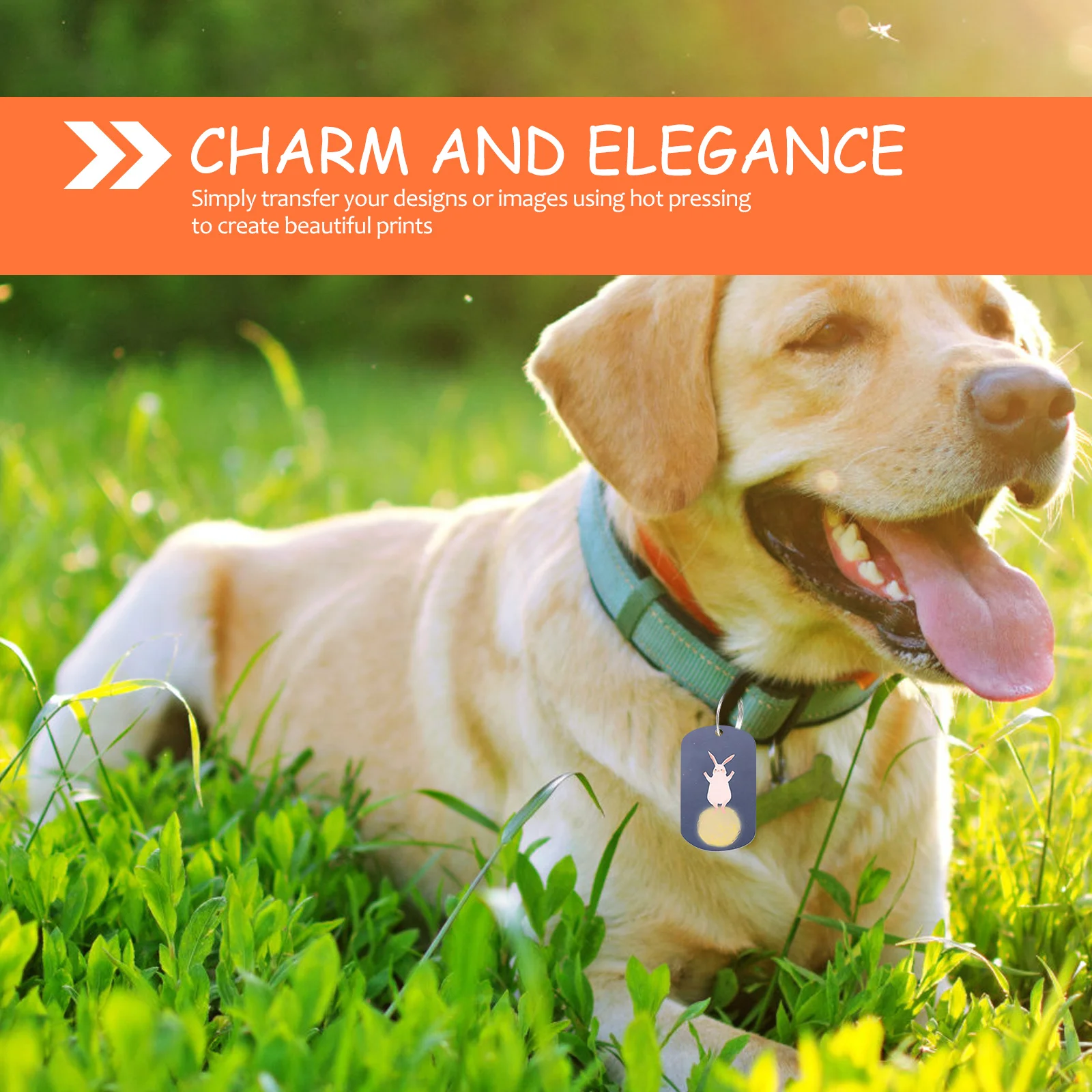 

2pcs Iron Pet Tag Sublimation Blank Dog Id Tags Personalized Pet Tag Puppy Name Plate Heat Transfer Charm Pendent Durable Metal