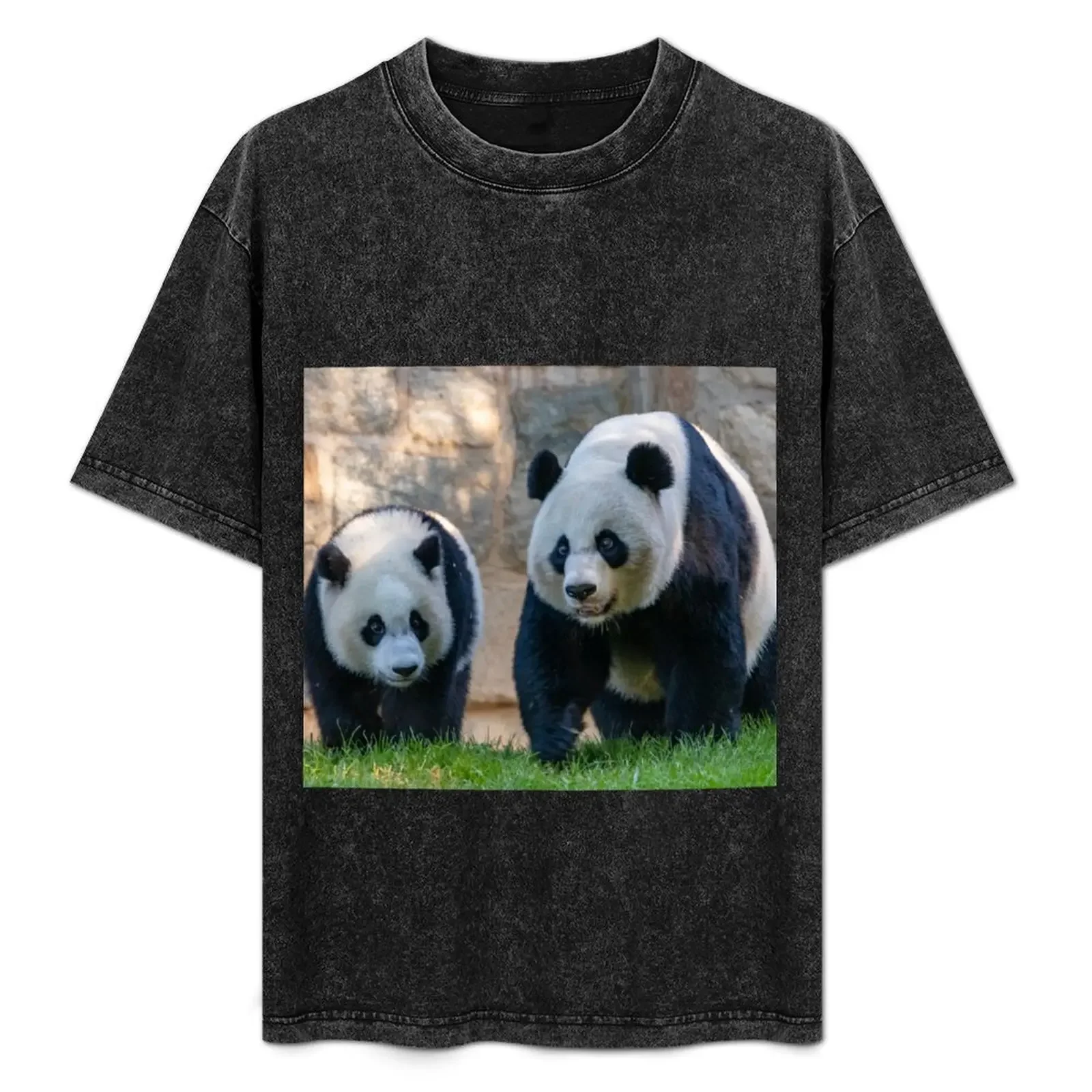 

Giant Pandas Xiao Qi Ji and Mei Xiang at the Smithsonian's National Zoo T-Shirt tshirts personalised mens funny t shirts
