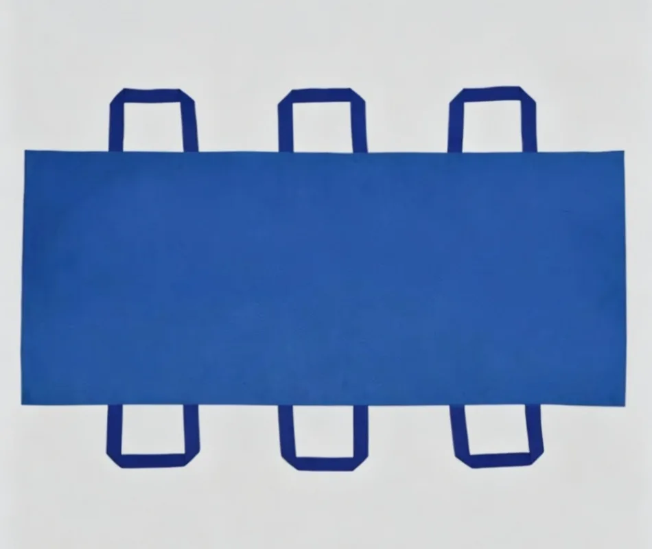 Patient Lift Transfer Sling, Bed to Wheelchair Mobility Aid with Padded Handles for Elderly Care