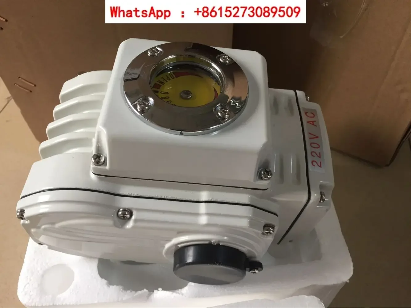 Electric actuator EA-05 with 60 second feedback switch quantity