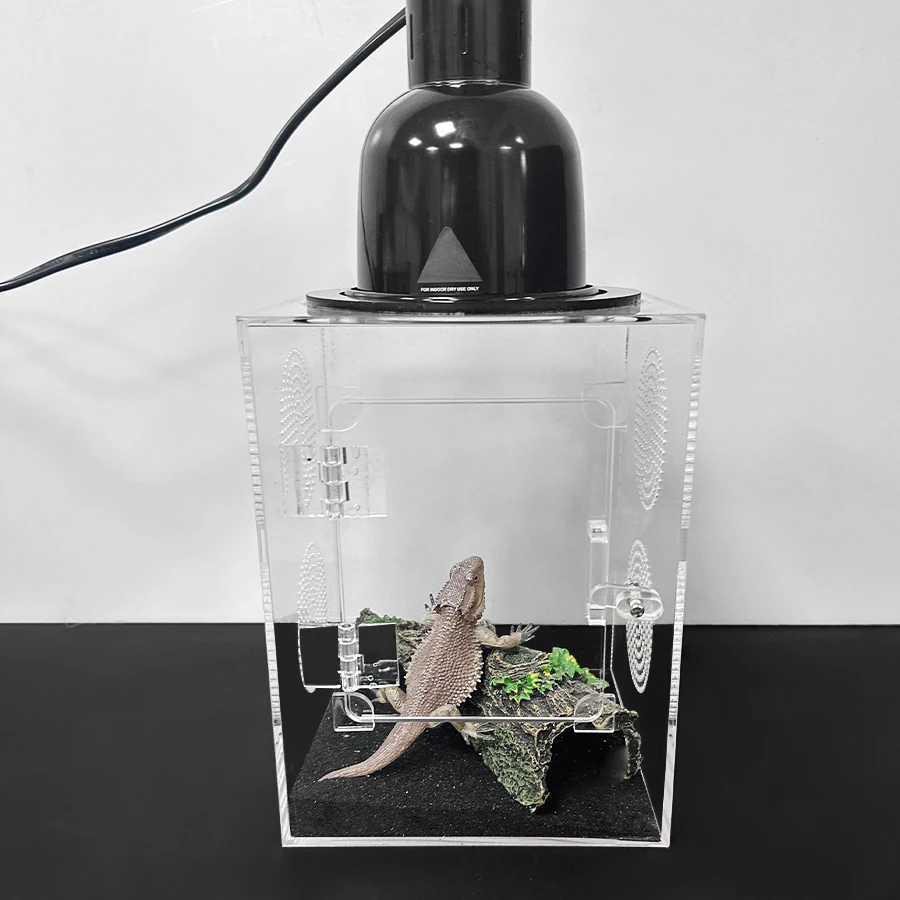 1 Peice Transparent Small Amphibious Reptile Breeding Acrylic Tank for Lizard, Snake, Insect With Breathable Holes，Net and Door