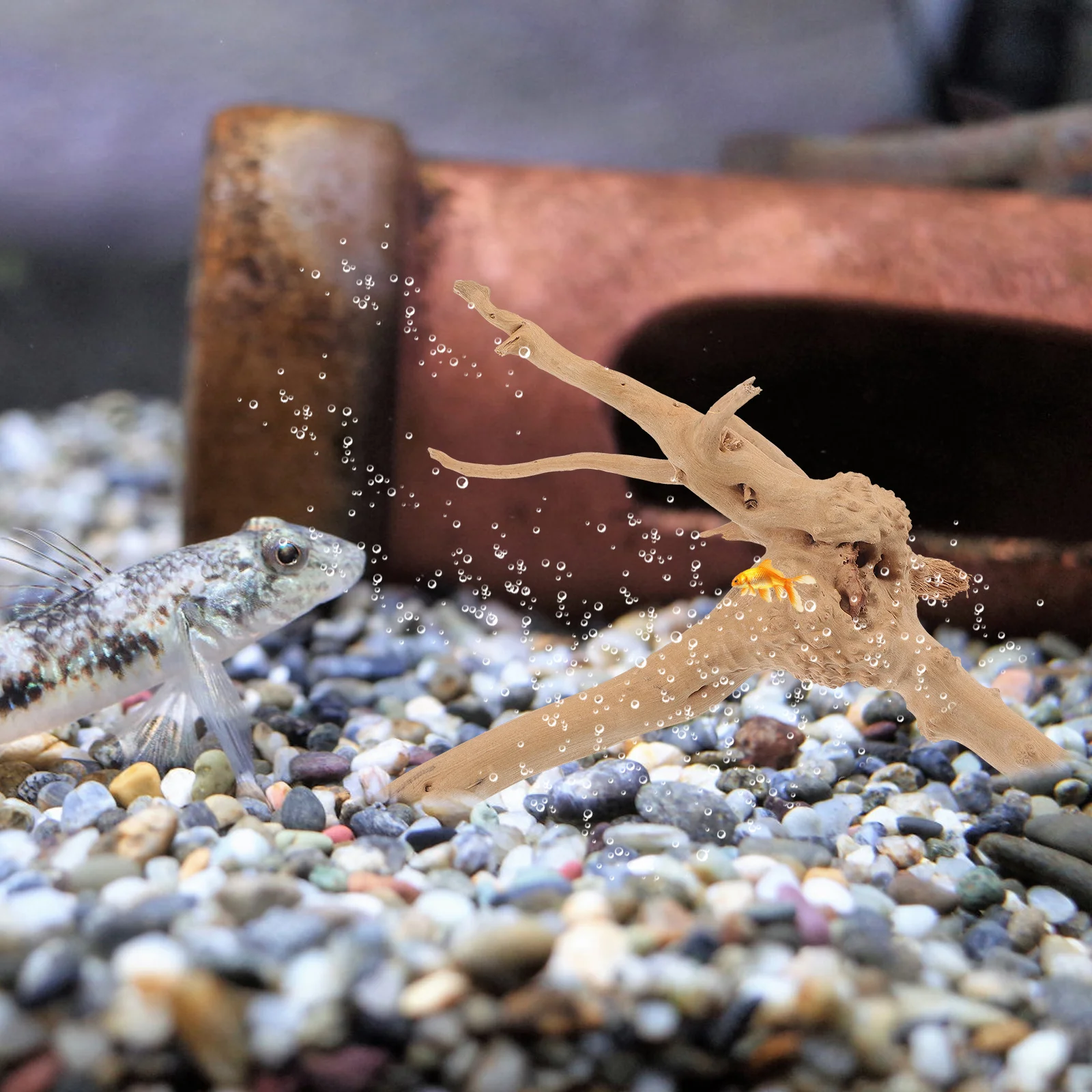 

Natural Driftwood Fish Tank Wood Craft Aquarium Driftwood Decor Random Style Exquisite Color Fast Fade Aquarium Ornament