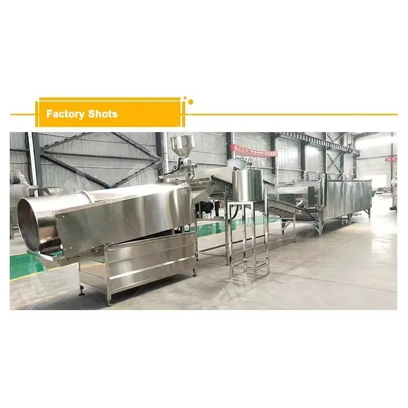 Flavored Peanut Cashew Production Line Coated Nuts Roasting Coating Flavoring Machine Processing Line