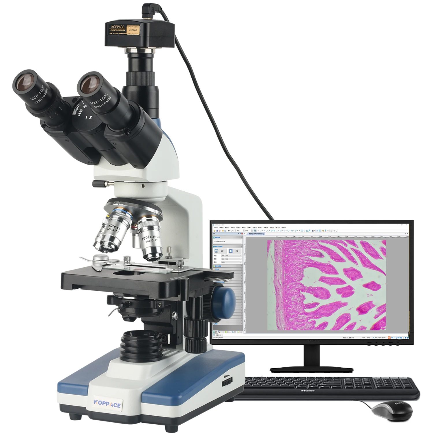 

‌KOPPACE 291X-7280X 12MP Electron Lab Microscope with USB2 Camera‌