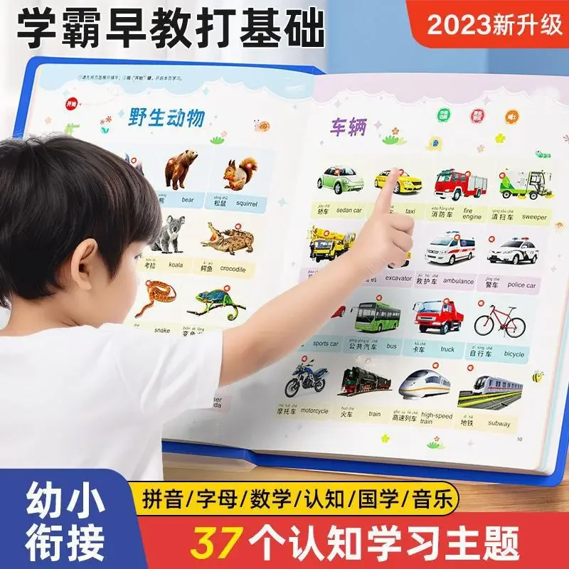 Toddler Chinese Character Recognition Book, Talking Pictograph Sound Book with 1200 Words, Pre-school Enlightenment Book for 0-3