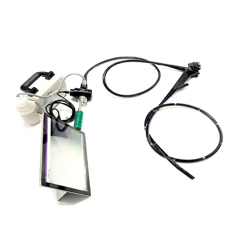 Flexible Endoscope Portable Endoscope Light Source Veterinary Instrument