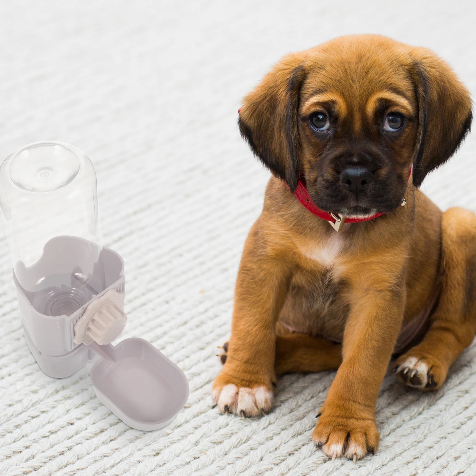 

Dog Cat Water Bottle Pet Feeder Hanging Device for Cage Purple Auto Refill Durable Plastic Easy Installation Inspection Pet