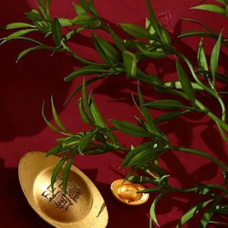 

6/12Pcs Cartoon Horse Year Red Envelope Chinese Traditional Lucky Money Pouch Creative 2026 New Year Red Packet