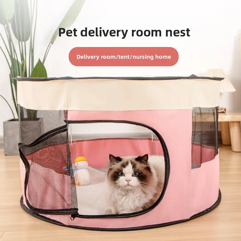 Cat Whelping & Conv… - image