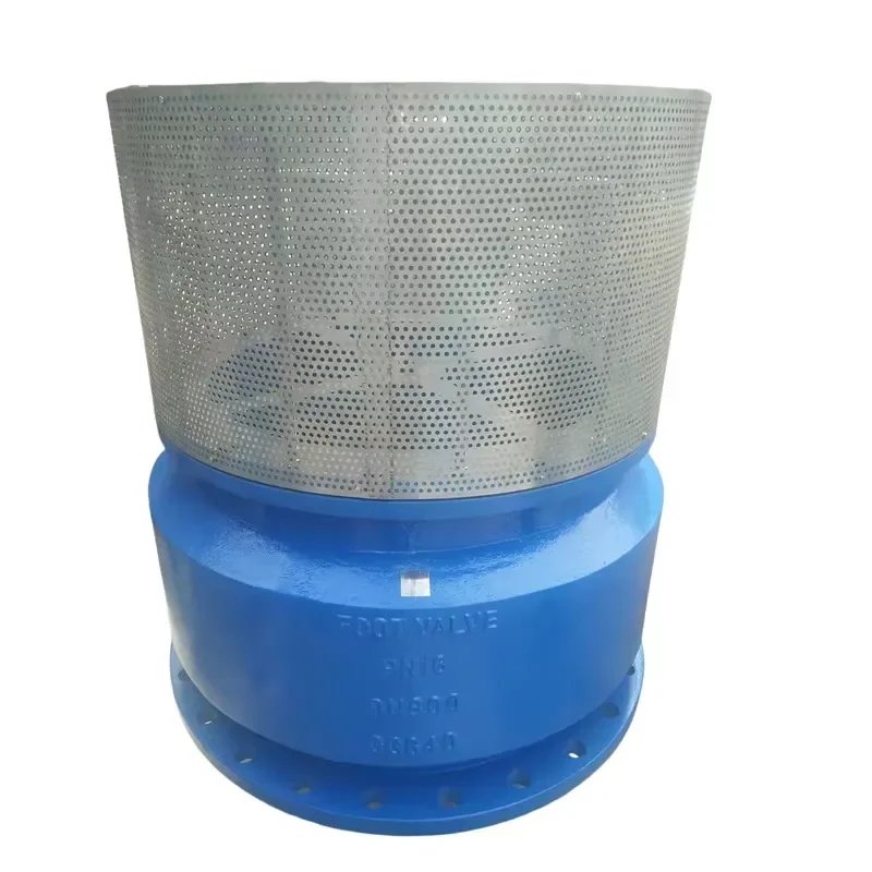 Suction Strainer Foot Check Valve SS304 Screen Ductile Iron Body DN350-DN800 PN16