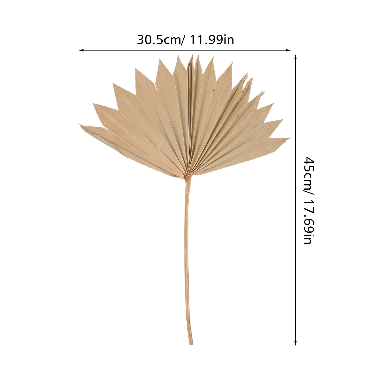 4 szt. Dekoracji z liści palmowych na ślub, do domu, rekwizyt fotograficzny, boho, dekoracja ścienna, kompozycja kwiatowa, suszone liście, aranżacja z liści