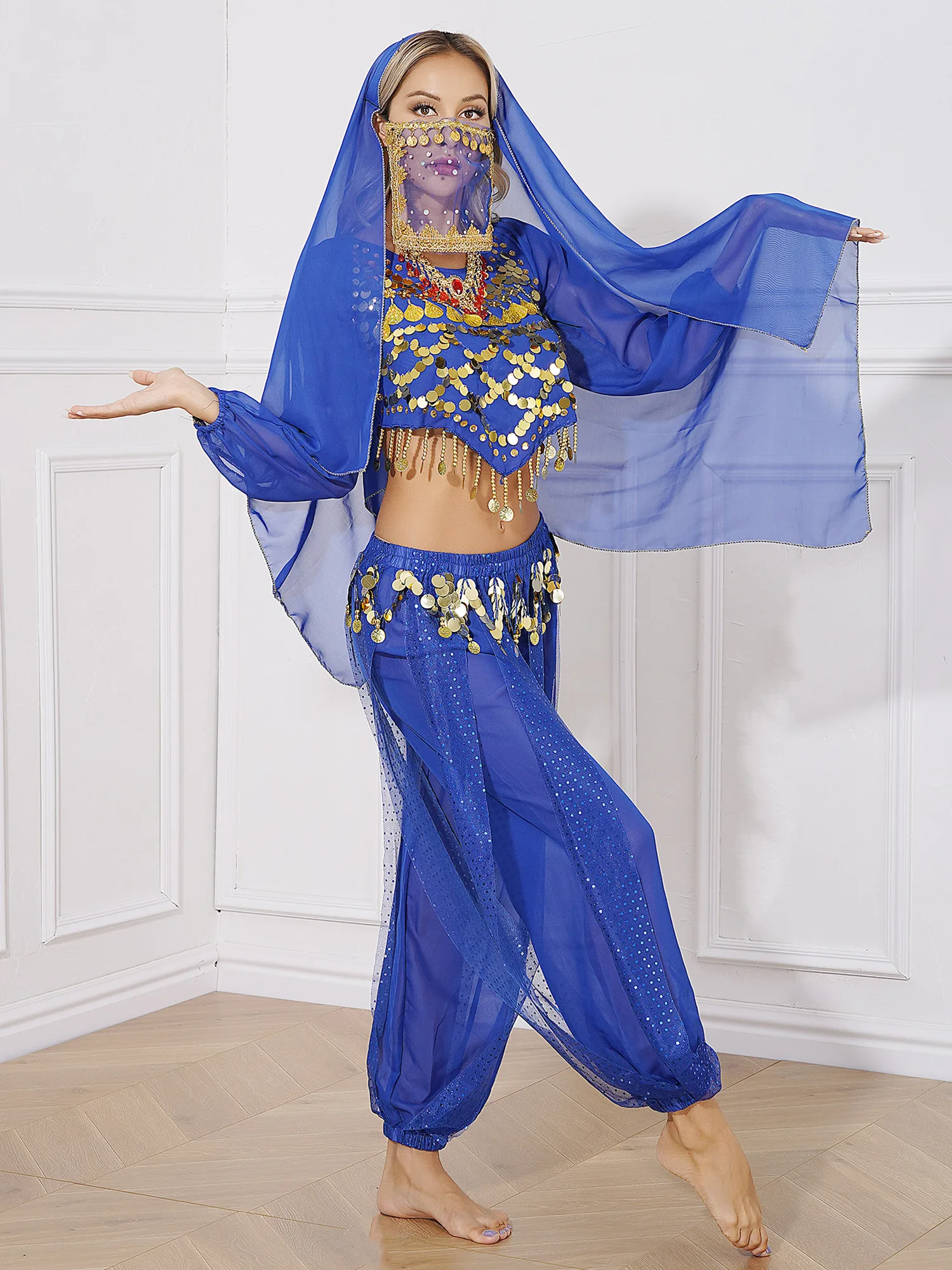 Professional Belly Dancing Costume Women Fancy Theme Party Dress-up Suit Oriental/Indian Dancewear Stage Performance 5-Piece/Set