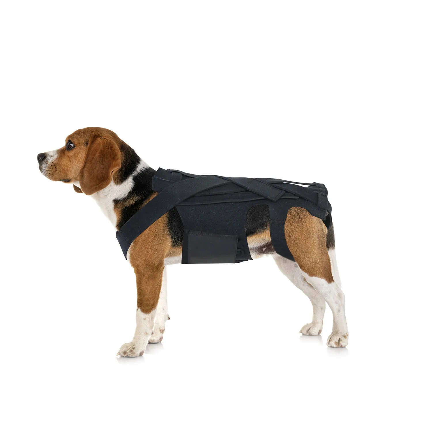Black Soft Ribbed Pet Vest Dog Adjustable Back Brace for IVDD Dog Back Pain Relief, Arthritis Dachshunds Corgies Dog Vest