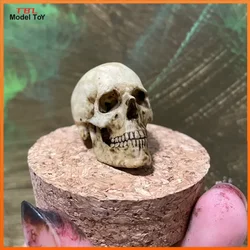 1/6 Scale Retro Human Skull Skeleton PVC Model Pendant Decorations for 12in Action Figure Toys Accessory