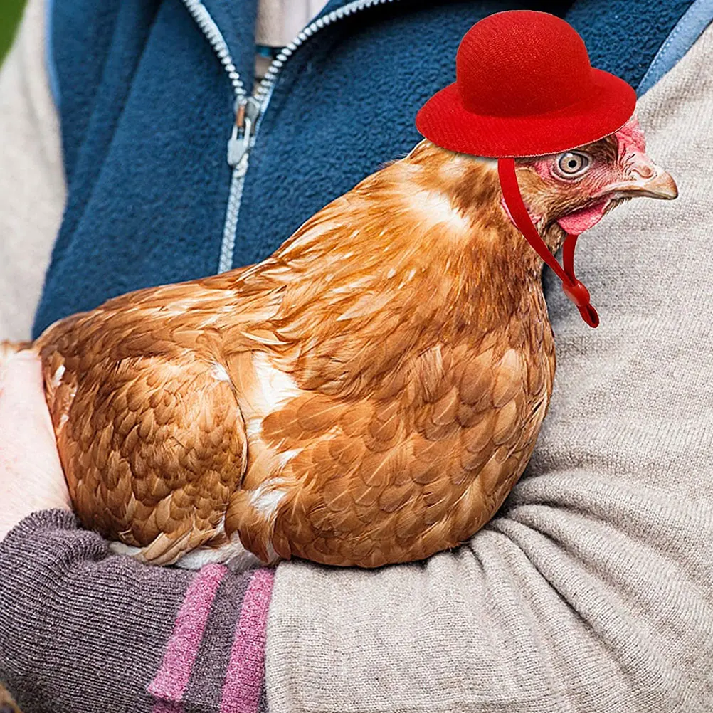 

8 Pcs Pet Chicken Hat Hats for Birds Decor Accessories Chickens to Wear Hen Rooster
