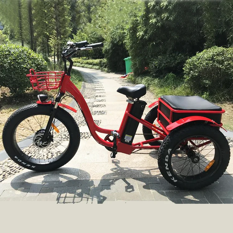 

2022 Ristar electric tricycle adults/ convenient electric bike(RSD-708) OEM Customize Factory price electric trike three wheels