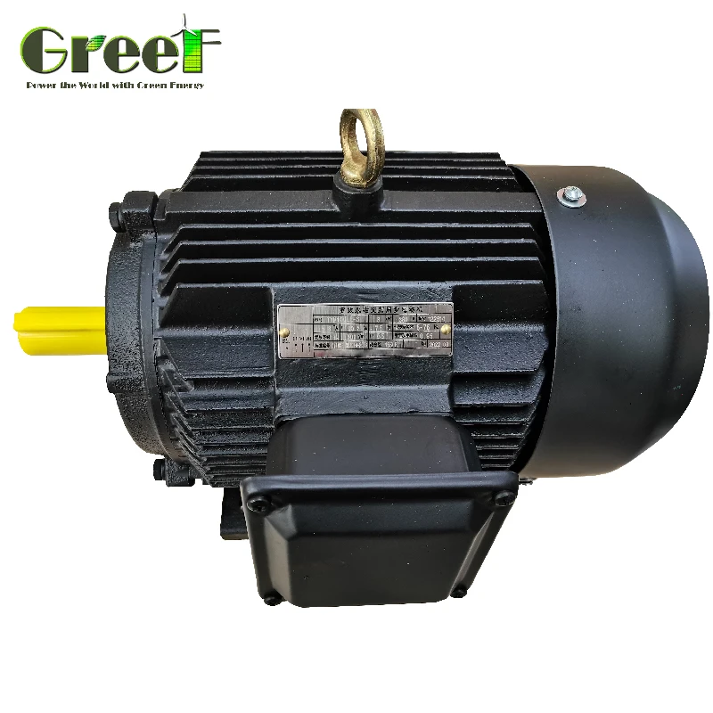 

1KW 2KW 3KW High Efficiency Permanent Magnet Motor TYP Magnet Synchronous Electrical Motor 3 Phase AC Output