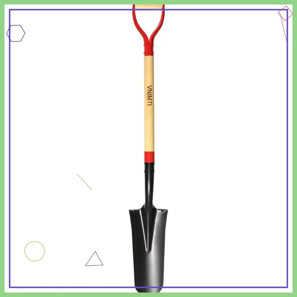 Professional Transp… - image