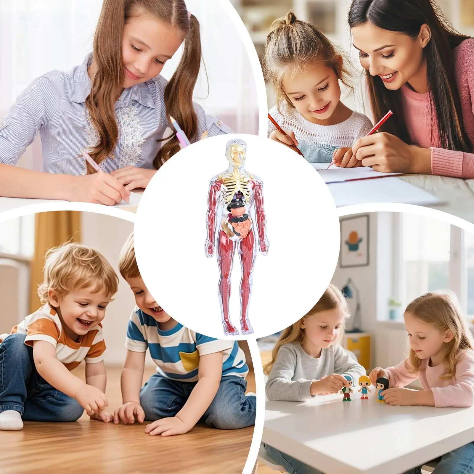 

Анатомическая модель для детей, обучающая игрушка в виде человеческого тела, мягкая анатомическая модель для дома, школы, детского сада, гостиной, спальни, игровой комнаты