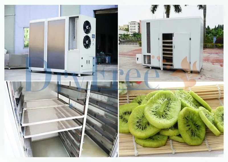 Energy Saving Fruit Tea Dehydrator Solar Heat Pump Dryer Meat Dryer Food Vegetables Drying