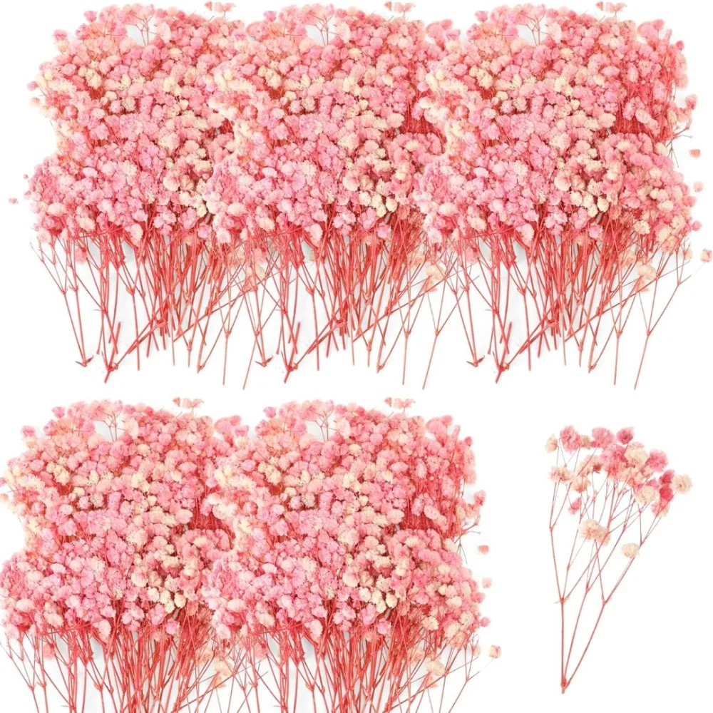 Rosa Konservierte Mini-Schleierkraut-Trockenblumen, Schicke Heimdekoration, DIY-Basteleien, Karten, Frisches Gypsophila-Blumenarrangement für Hochzeiten und Festliche Anlässe