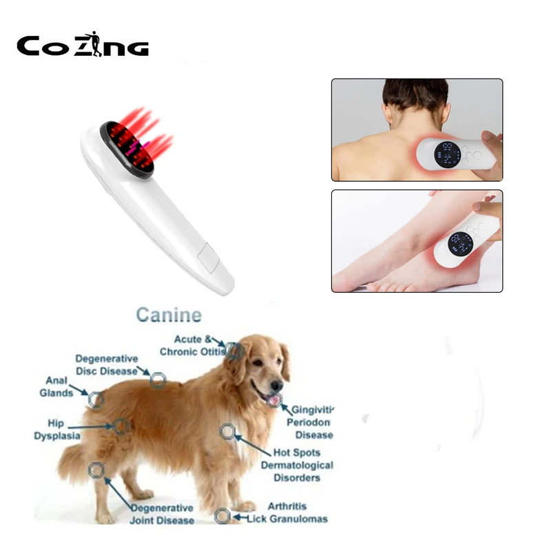 

Professional Cold Laser Therapy Device 650nm 808nm for Sport Injuries Arthritis Heel Spurs Pain Relief for Pet Cat Dog Horse