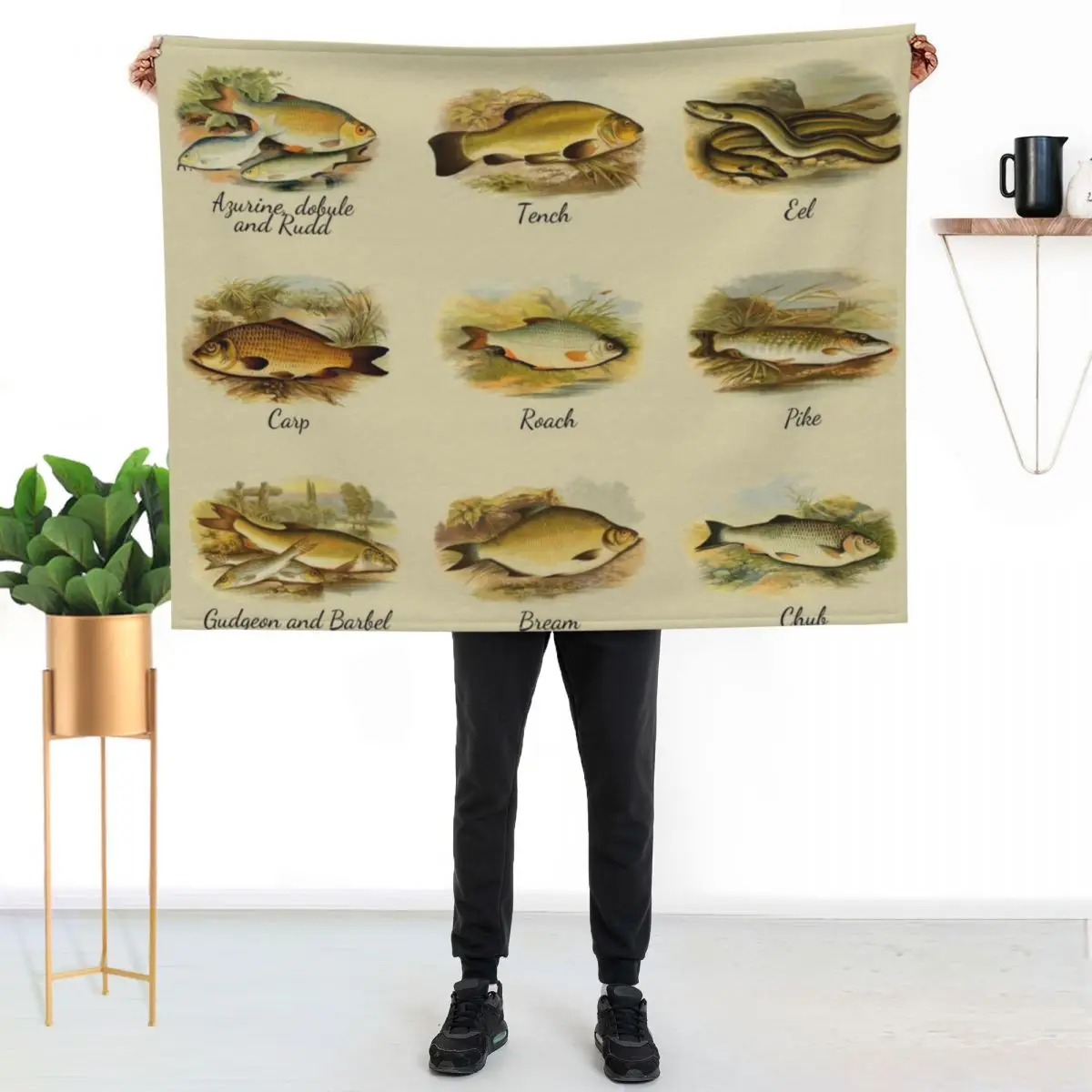 

British Freshwater fish identification ID Throw Blanket Air Conditioner Soft Blanket for Office Home