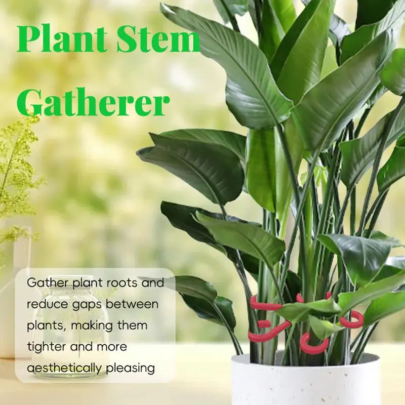 Plant Support Alocasia Monstera Leaf Supports 4Pcs Vine Support Clips For Climbing Plants To Grow Upright And Make Healthier