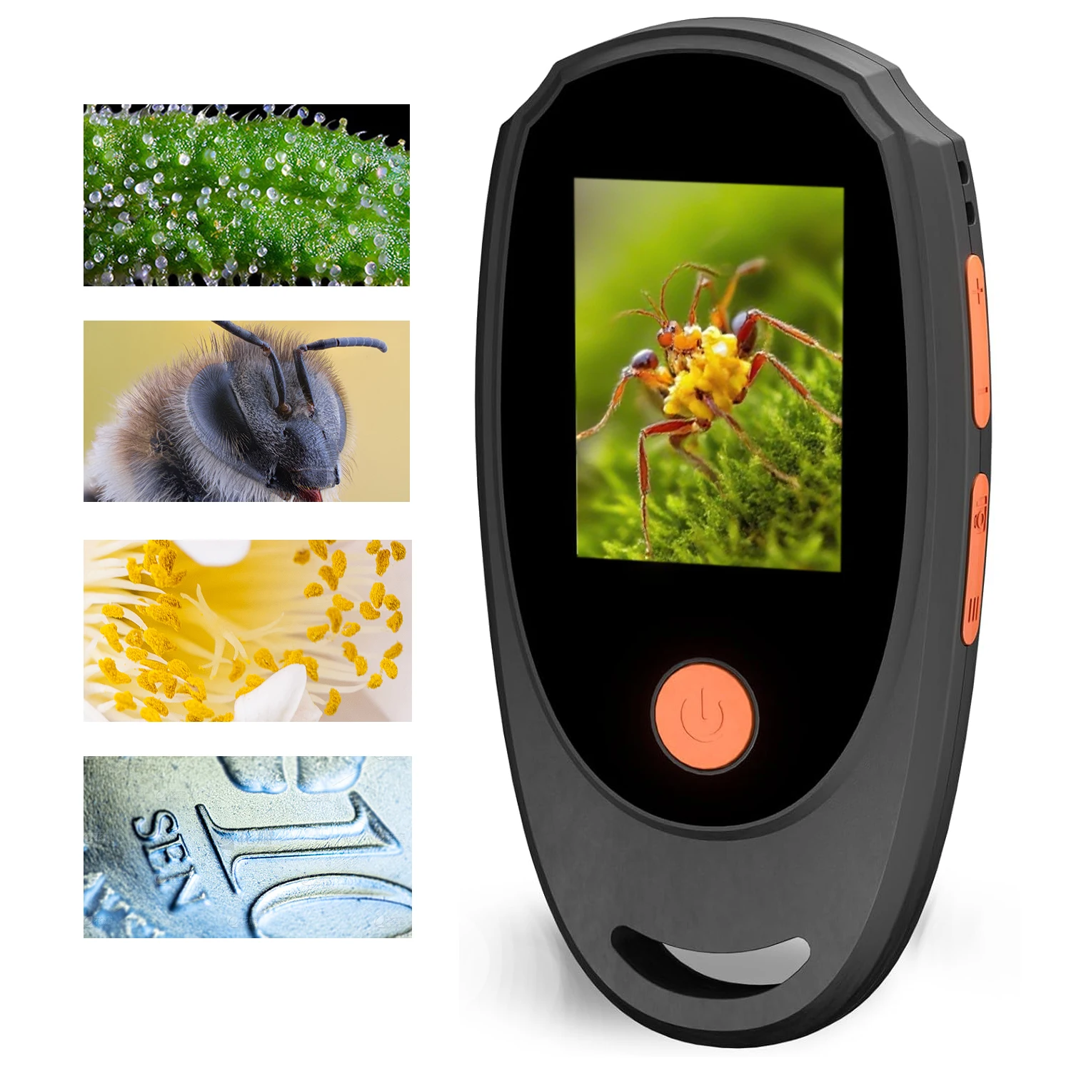 Microscopio Digital portátil con pantalla a Color IPS de 2,0 pulgadas, lupa 500x, microscopio Marco para niños, luces 8LED integradas