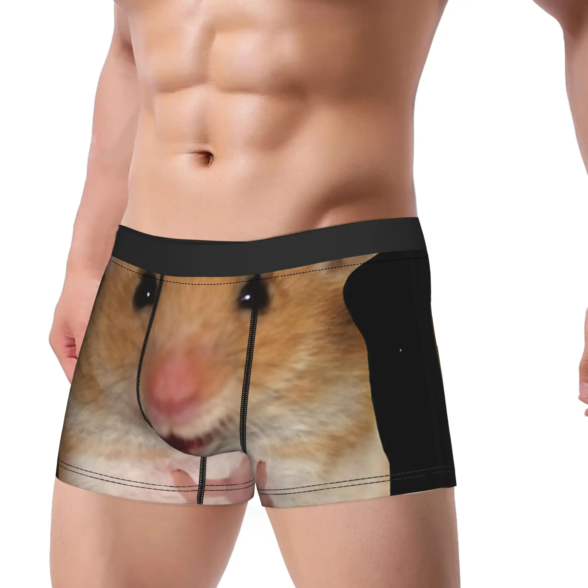 Cute Hamster MeMe Underwear  Custom Boxer Shorts Quality Men's Panties Classic Shorts Briefs Gift Idea