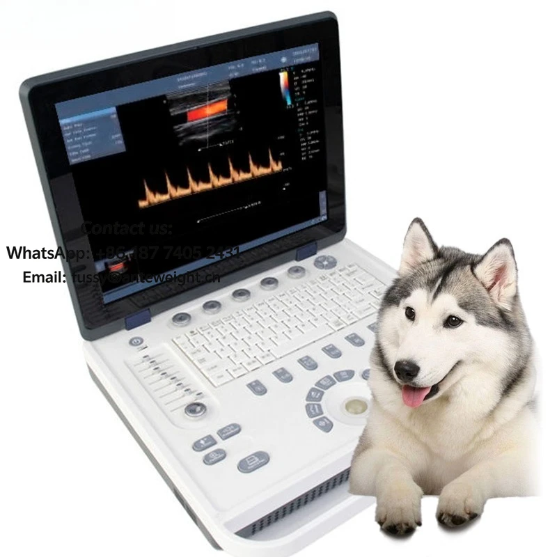 2026 Portable Veterinary Products Instrument Medicine Scanner Laptop Veterinary Ultrasound Machine Monitor for Animals