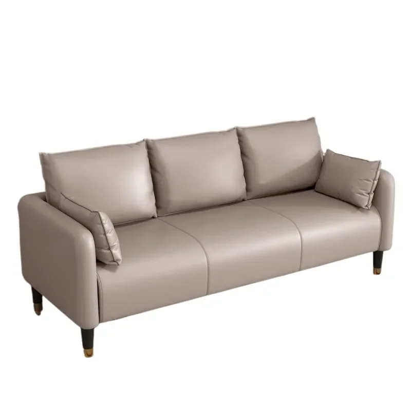 Nordic Cat Scratching Sofa for Small Apartment Living Room Simple Double Two or Three Seat for Rental Room Clothing Store