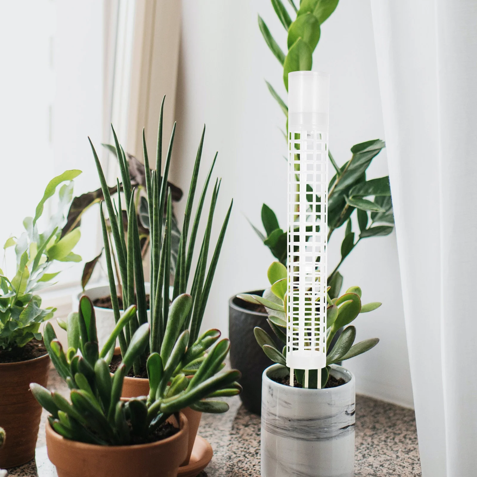 

Stackable Self-Watering Moss Pole Plastic Climbing Holder 16.9 Inch Trellis Plant Support Rack for Monstera Potted Plants Indoor