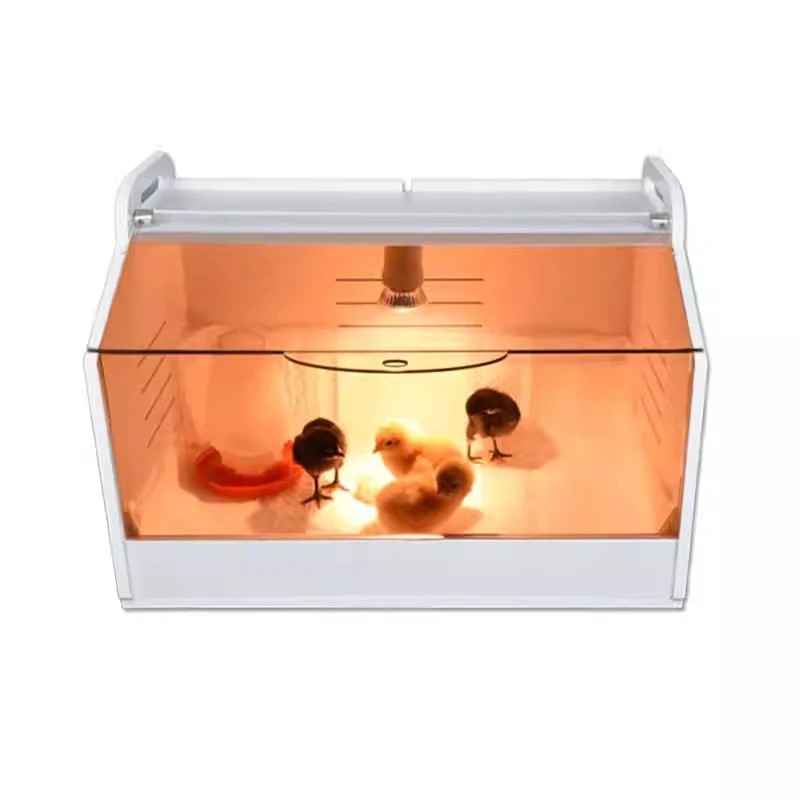 

Chick Incubator, Quail/Duckling Heating and Incubation Box, Poultry Farm Incubation Equipment, Incubator, Bird Hatchery