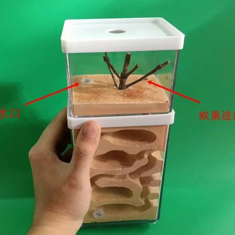 Big Earth Ant Works… - image