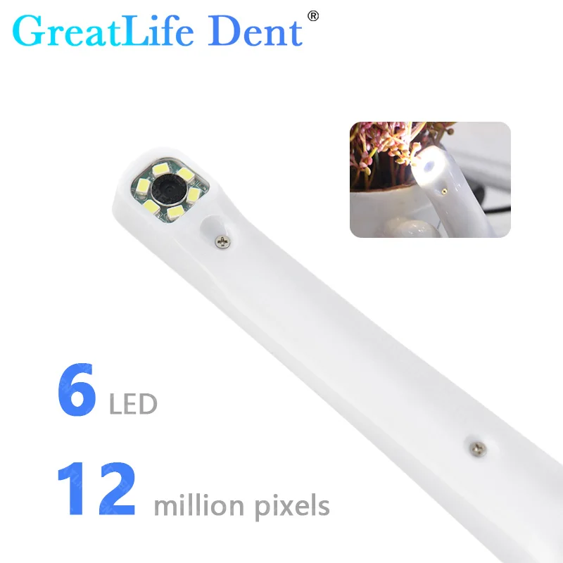 GreatLife Dent 17 inch LCD Monitor Dental Intraoral Camera VGA Intra Oral Camera Oral Observation Instrument with Bracket Holder