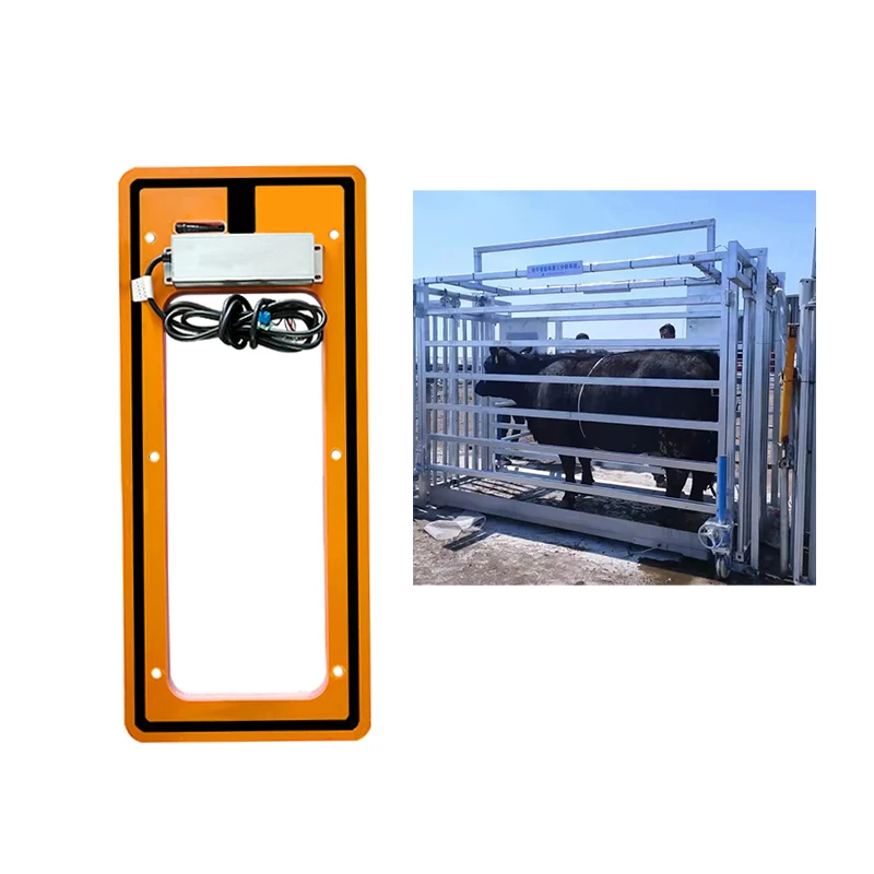 Lector estacionario RFID de etiqueta de oreja HDX de FDX-B de largo alcance de lectura de 1210x330mm escáner de panel de canal EID para báscula de ganado y ovejas