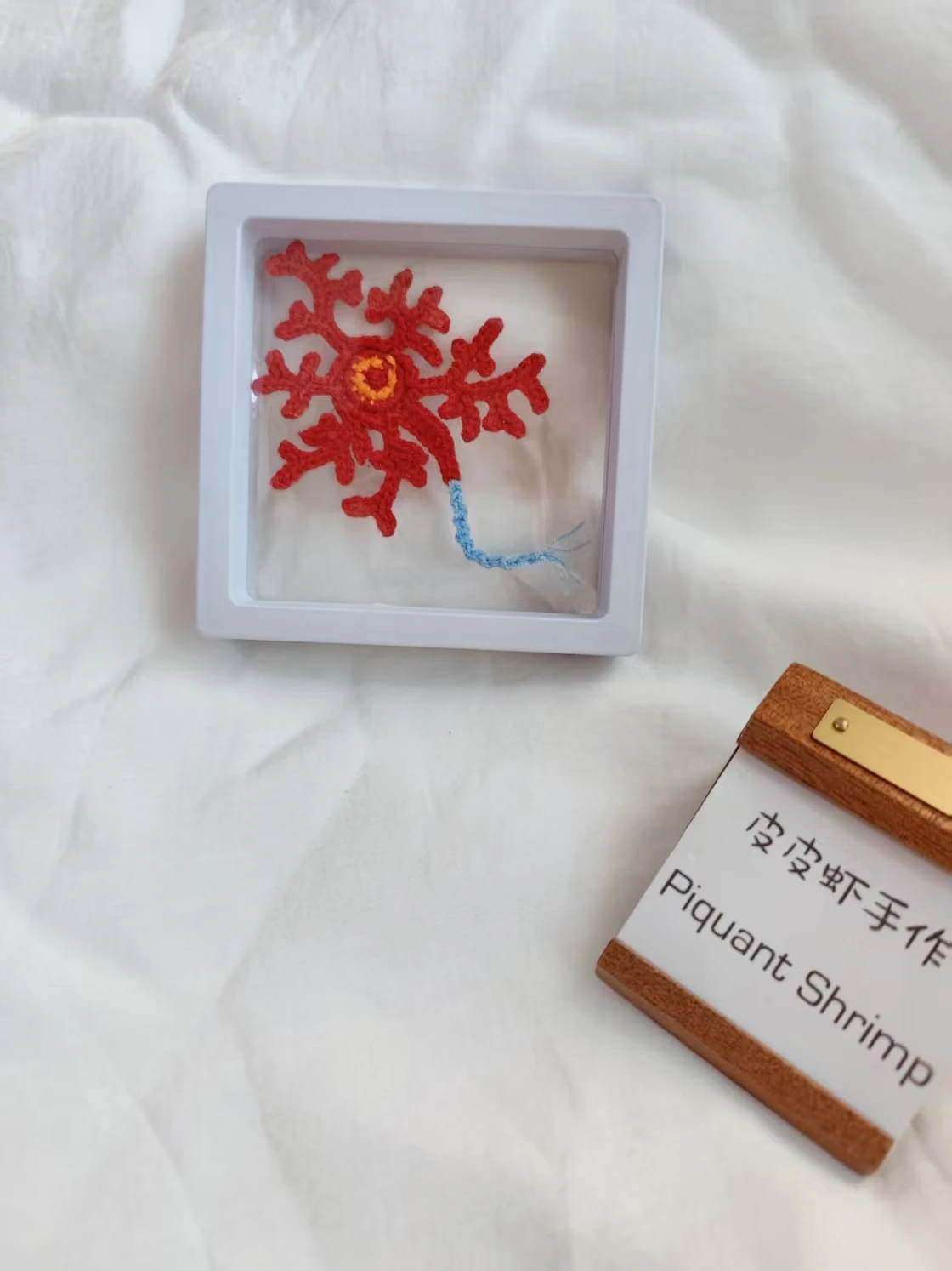 handwoven-biomedical-cell-diaam-ornaments-creative-birthday-gift-for-teachers-and-students-unique-decorative-accories