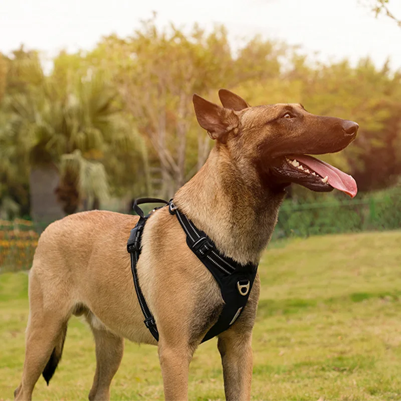 Truelove Lightweight Pet Harness Adjustable Breathable Dog Chest Harness Reflective Quick Release Comfortable For Dogs Training