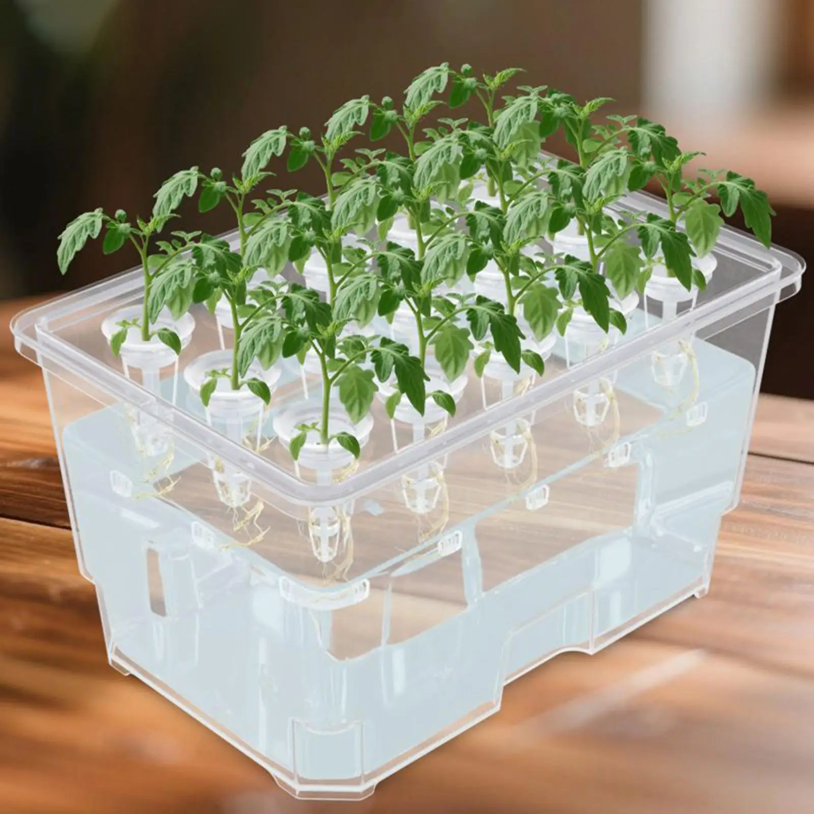 Hydroponic Grow System Germination 15 Pods Germination Planter Indoor Hydroponic Garden For Balcony Garden Greenhouse Outdoor