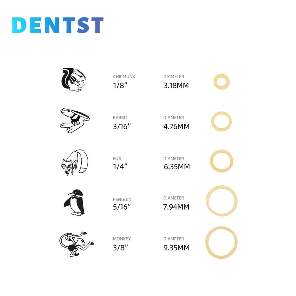 حلقات جر حيوانات ، تقويم أسنان ، مطاط ، رباط مطاطي ، منتج طب أسنان ، * * ، * * * ، * * *